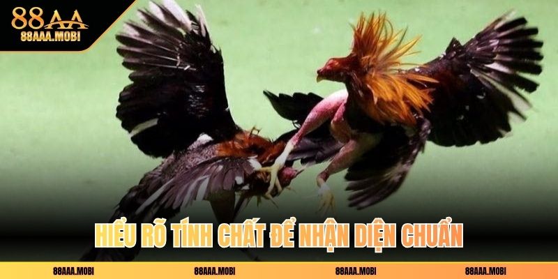 Hiểu rõ tính chất để nhận diện chuẩn